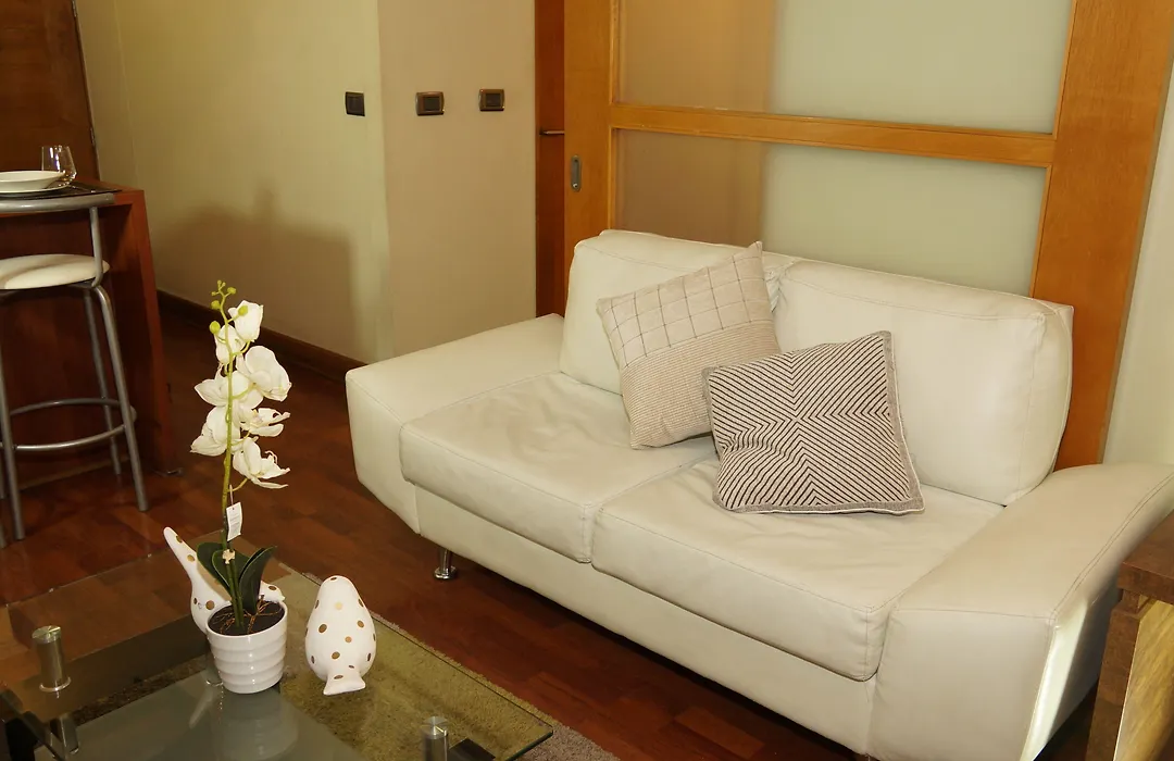 Apart Providencia Barros Borgono-1