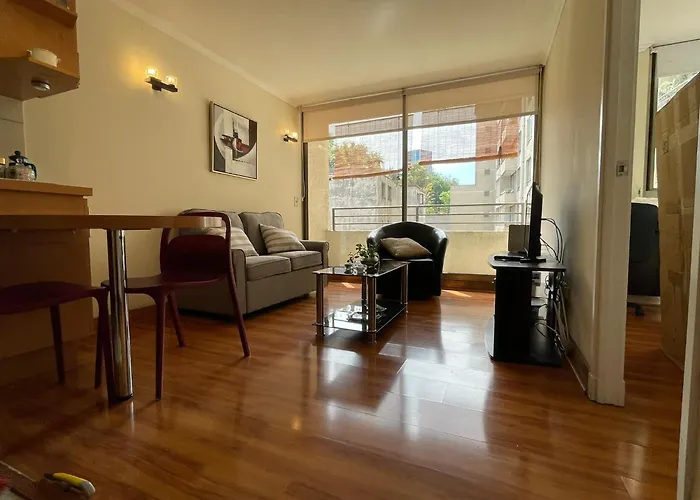 Boutique Barrio Lastarria, Excelentes Apartamentos - Sofia Camilla Propiedades Santiago de Chile
