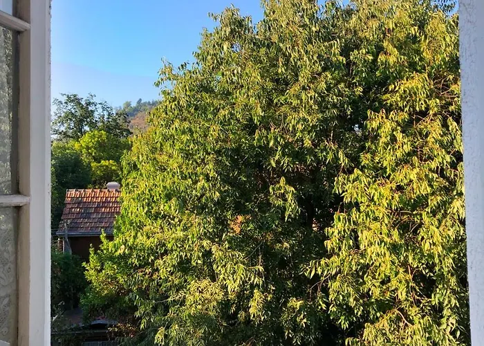 Bed and Breakfast Casa Ryan Santiago de Chile
